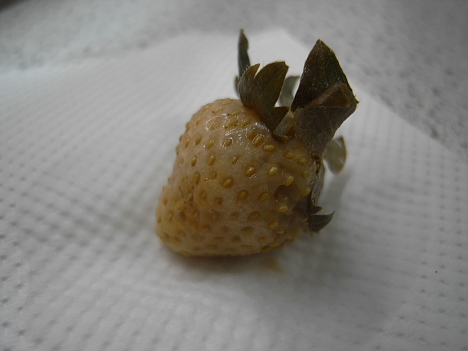 Bleached strawberry
