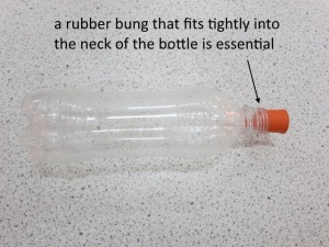The rocket, a 600ml water bottle